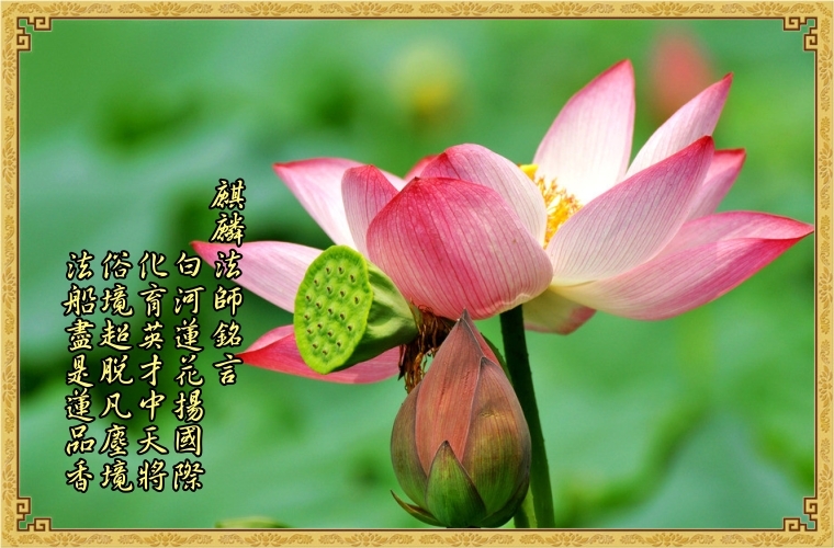 1-5-003　麒麟法師—傳承薪傳銘言圖卡.jpg