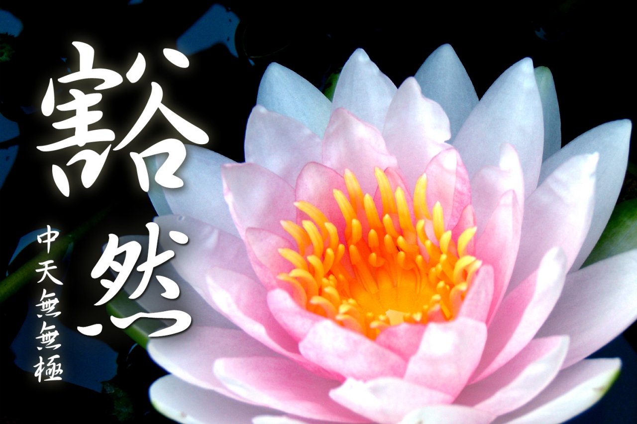 29=39寬容、放下=中葉.jpg