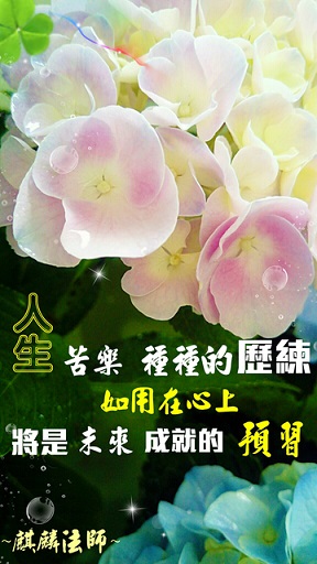 40=298麒麟法師=智慧小品16=天荷.jpg