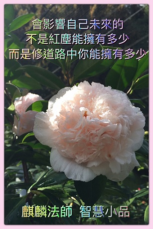 40=906麒麟法師=智慧小品60=天碧.jpg